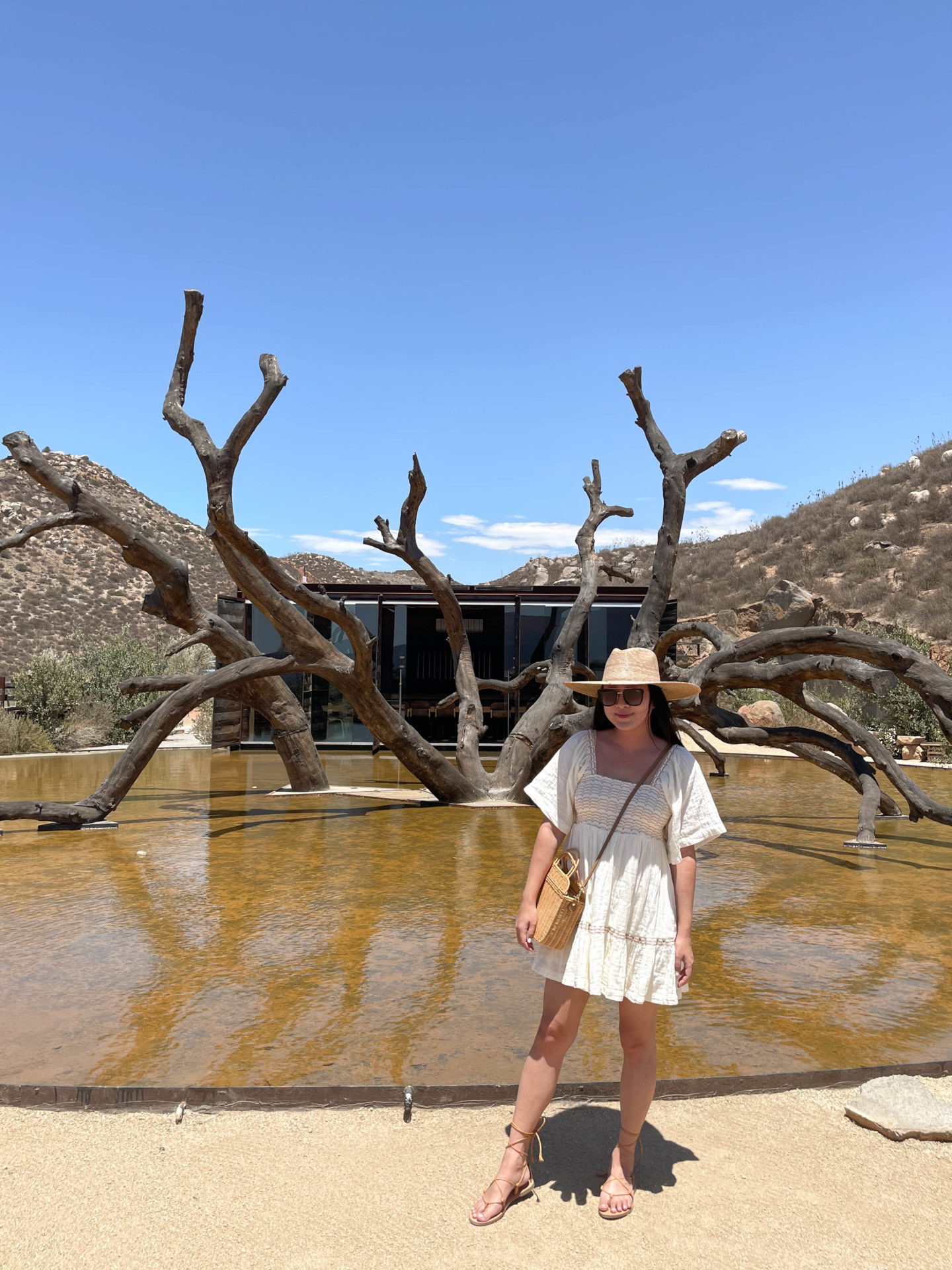 Baja California Road Trip Itinerary: 3 Days in Valle de Guadalupe - Twenty  Two Lavender